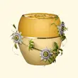 تندرکر بالم محافظت کننده و تثبیت کننده با روغن دانه توت سیاه کد 36151 - رزبری کد 36152 - پشن فروت کد 36153 - هندوانه کد 44398 