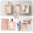 عطر پرفیوم زنانه سیگنیچر - کد 38540