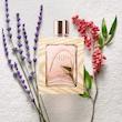 عطر پرفیوم زنانه سیگنیچر - کد 38540