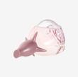 https://nogolbeauty.ir/عطر ادوپرفیوم زنانه ولار تندر - کد 46052