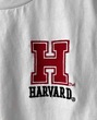 تی شرت new collection هاروارد برند h&m مرچ هاروارد