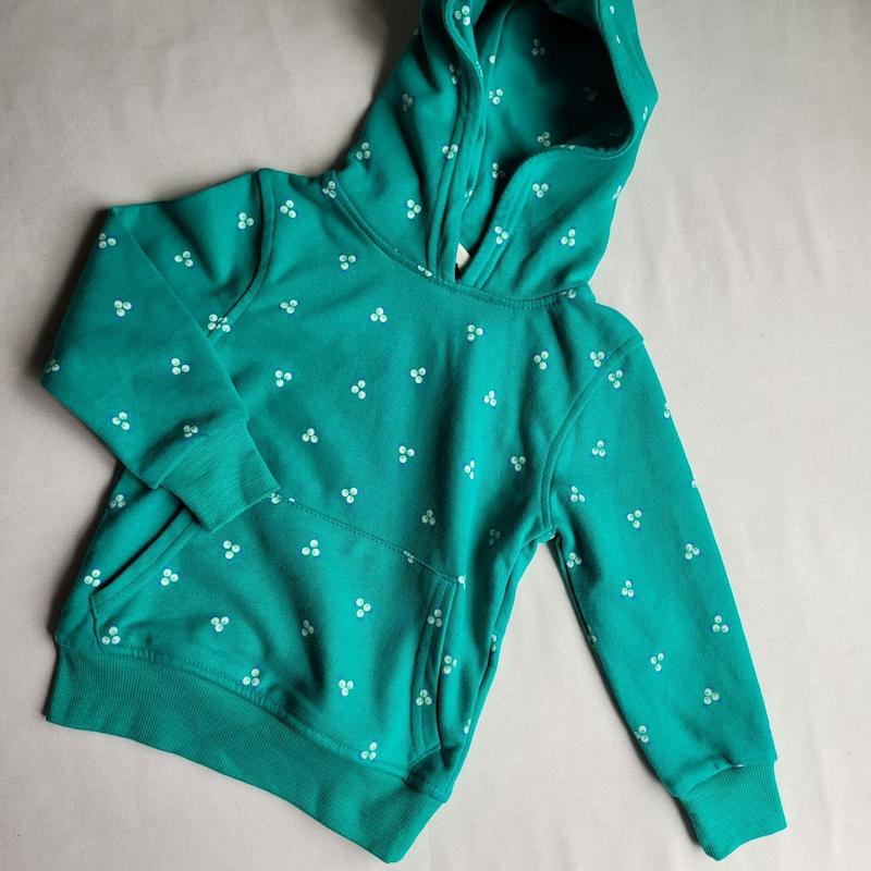 هودی دورس وارداتی (2 تا 3 سال)