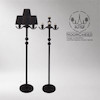 آباژور ایستاده کنار سالنی نئوکلاسیک زئوس استاتیک