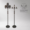 آباژور ایستاده کنار سالنی نئوکلاسیک زئوس استاتیک