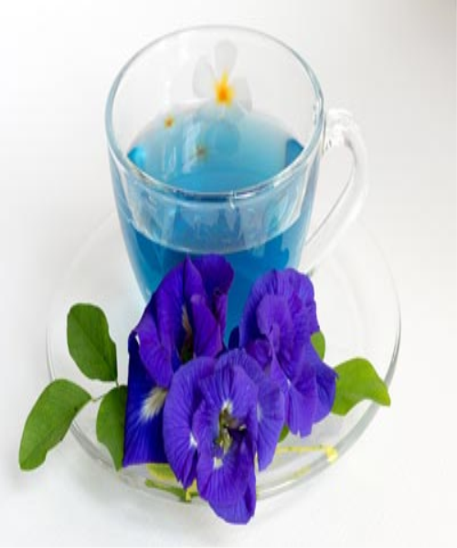 دمنوش گل بنفشه- گل بنفشه - درمان سرما خوردگی- Violets