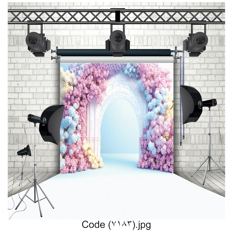 بکدراپ عکاسی 7183