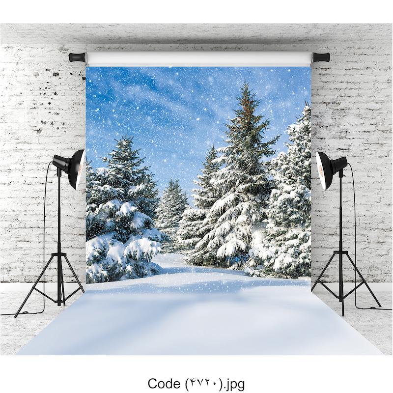 بکدراپ کریسمس 4720