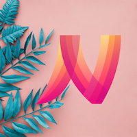 نوین بیوتی لونا