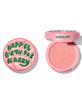 رژگونه هری پاتر شیگلم sheglam