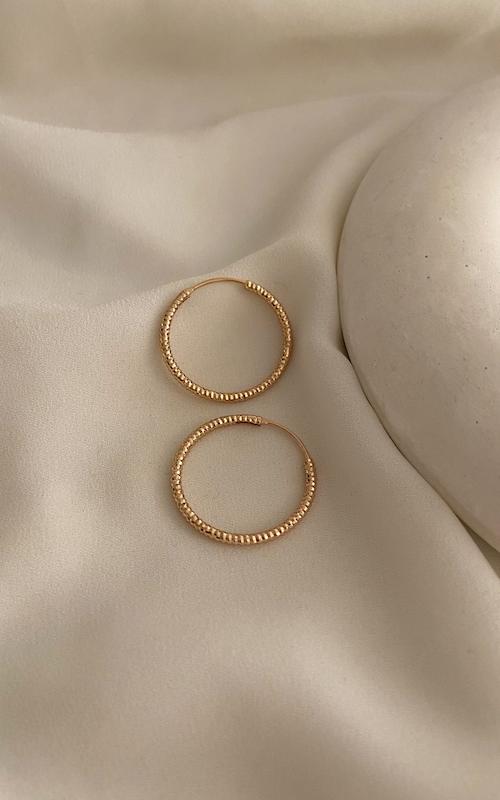 گوشواره حلقه ای شاینی