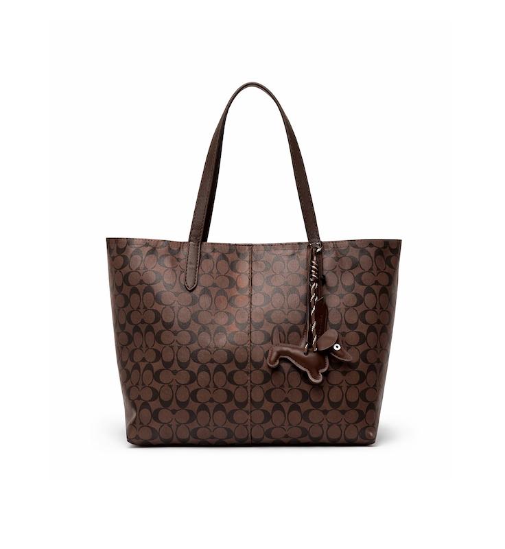 کیف دوشی زنانه مدل کوچ آویزدار Co11