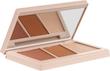 پالت کانتور سه رنگ شیگلم trio hero face palette