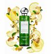 شامپو انرژی‌بخش و ضد ریزش کئون مدل So Pure Energizing Shampoo