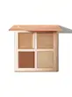 پالت کانتور و هایلایتر شیگلم آسیب دیده,  3D Pro Face Palette رنگ Dune