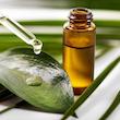روغن درخت چای 