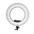  رینگ لایت میلوک MILOOK Ring Light SY 3161