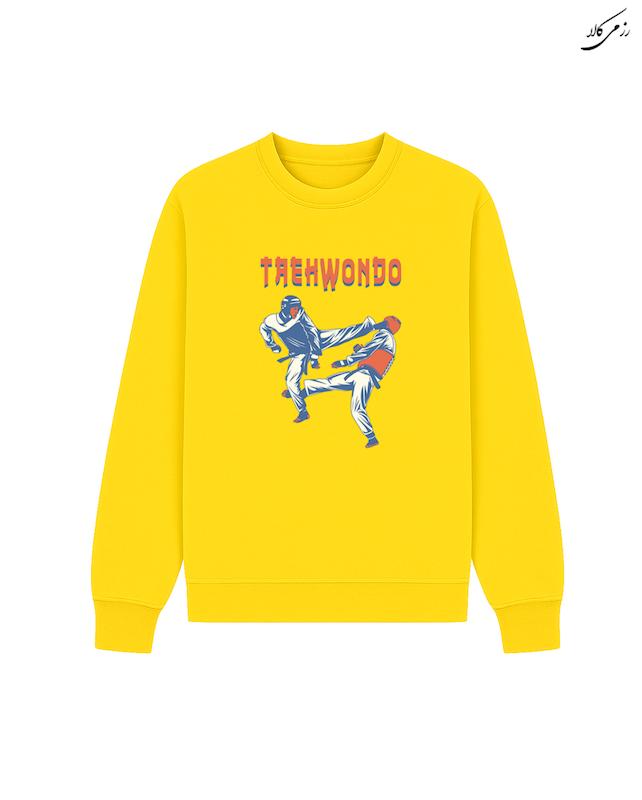 دورس تکواندو 6