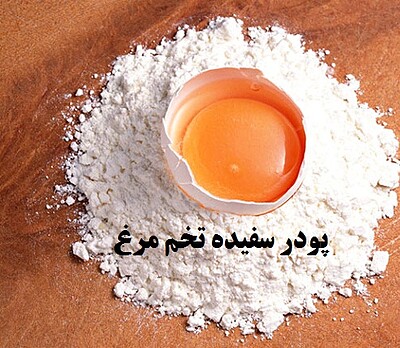 پودر سفیده تخم مرغ در وزنهای مختلف