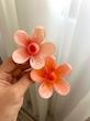 کلیپس بابونه براق