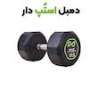 دمبل گرد هشت ضلعی استپ دار  2 عددی برند DHZ 