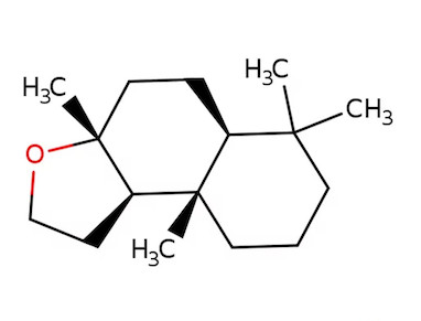 رایحه آمبروفیکس (Ambrofix)