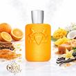 عطر ادکلن مارلی پرسیوس | Parfums de Marly Perseus ♂️