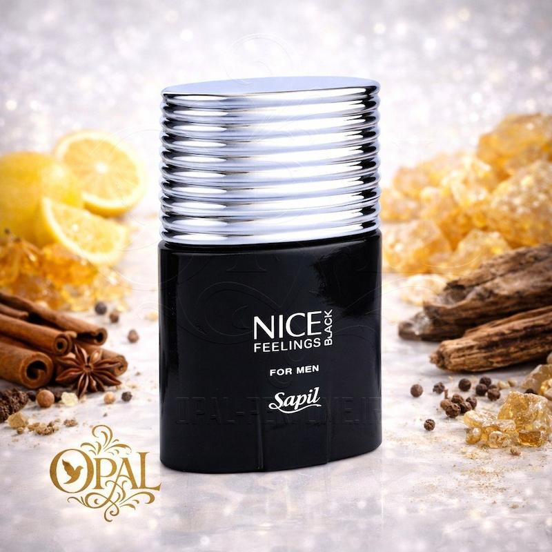 عطر ادکلن نایس بلک Sapil - Nice Feelings Black ♂️