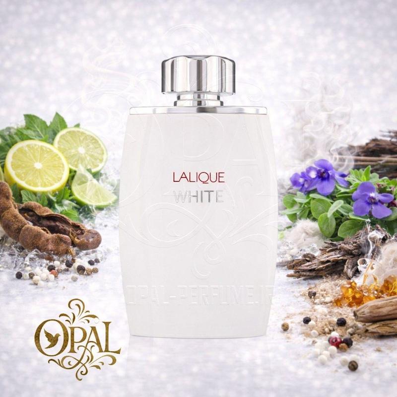عطر ادکلن لالیک وایت | Lalique White ♂️