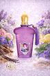 عطر ادکلن زرجف کازاموراتی لا توسکا | Xerjoff Casamorati La Tosca ♀️