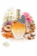 عطر ادکلن اسکادا کالکشن | Escada Collection ♀️