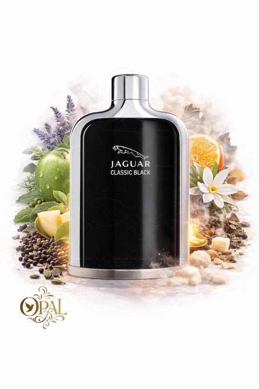 عطر ادکلن جگوار کلاسیک بلک-مشکی | Jaguar Classic Black ♂️