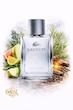 عطر ادکلن لاگوست مردانه | Lacoste Pour Homme ♂️