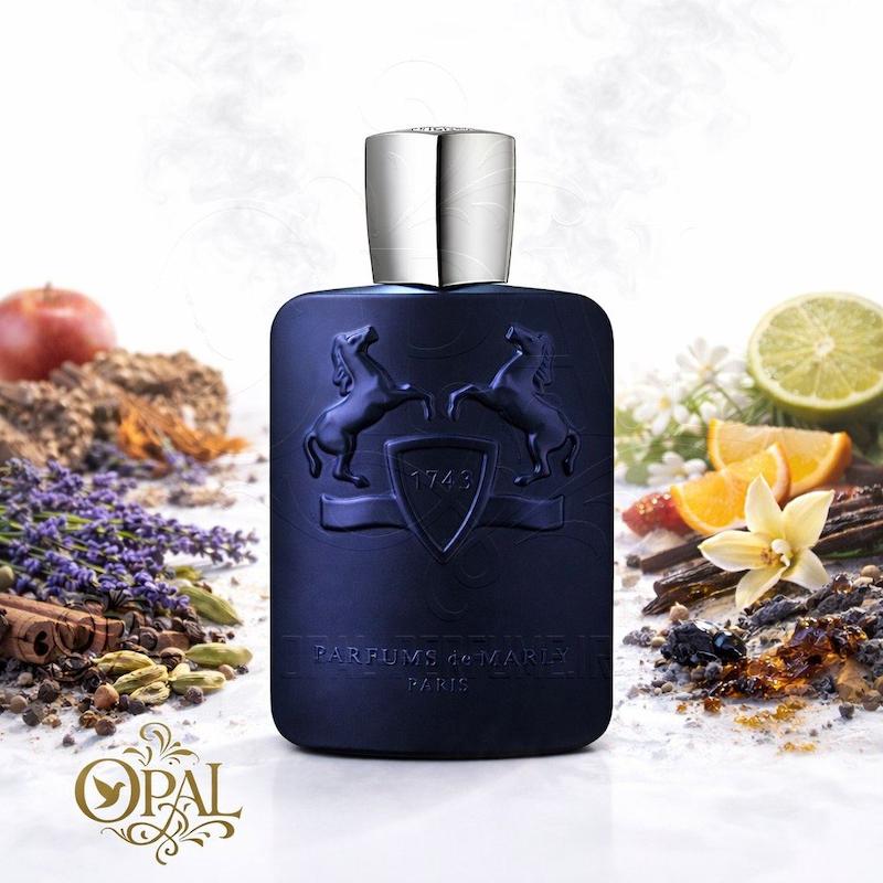 عطر ادکلن مارلی لیتون | Parfums de Marly Layton ♂️