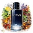 عطر ادکلن دیور ساواج | Dior Sauvage ♂️