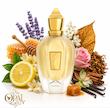 عطر ادکلن زرجوف ناکسوس | (1861) Xerjoff Naxos ♂️♀️
