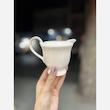 سس ریز و آبلیمو خوری ماگرو