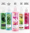 شامپو سر و بدن مخصوص آقایان   AVON SENSES JUNGLE RAINBURST