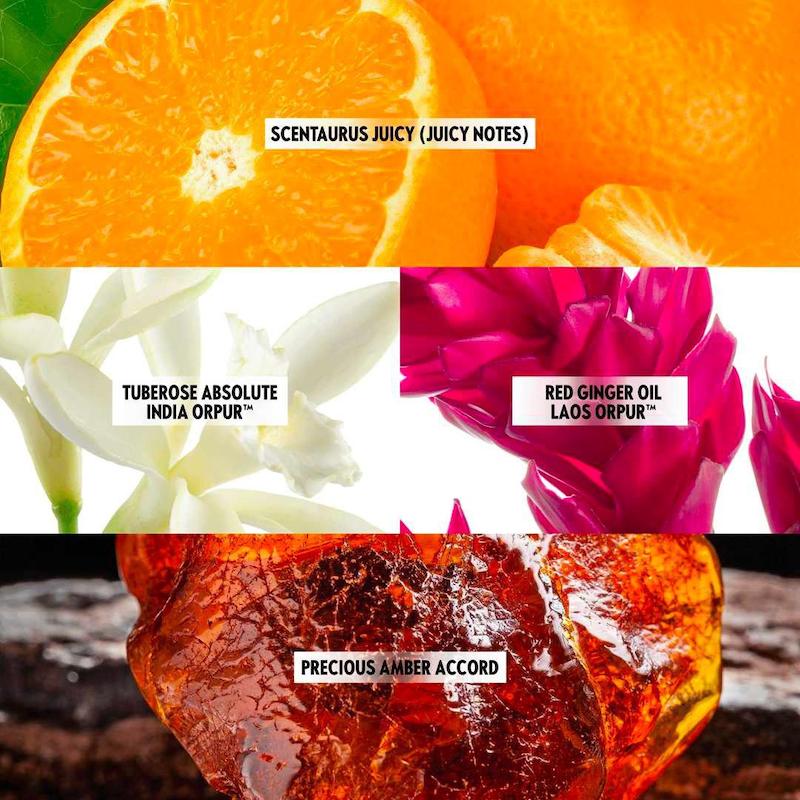 عطر All or Nothing Amplified