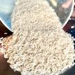 برنج دم سیاه صدری درجه یک گیلان منطقه شفت