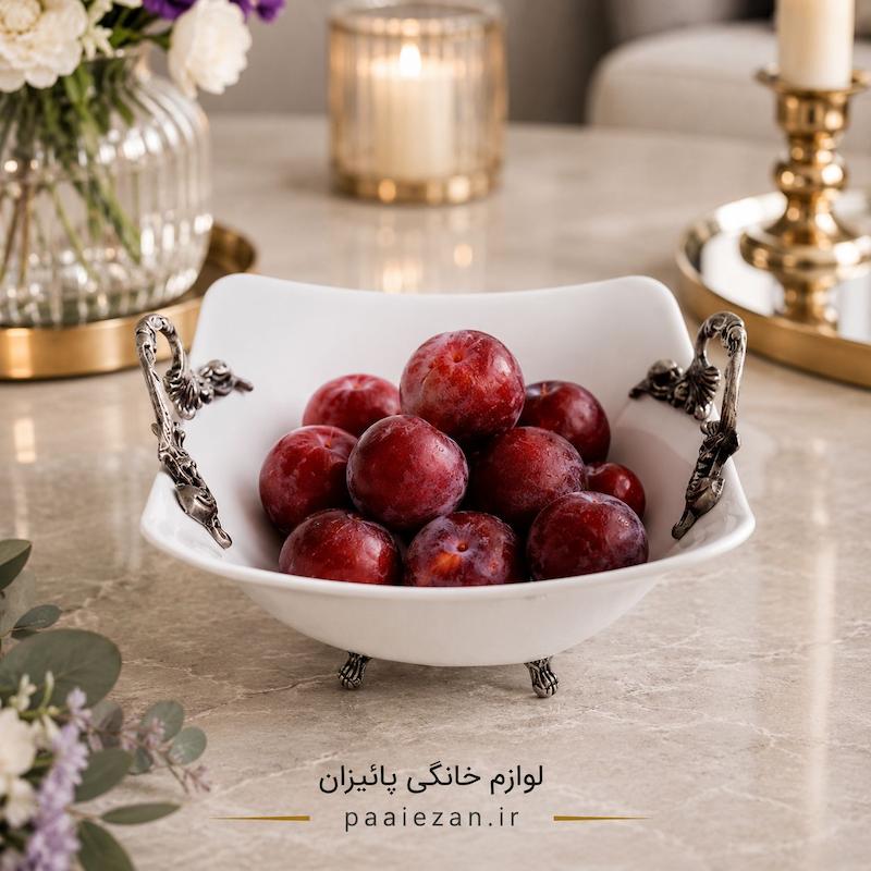 ظرف پیوتر کد 24