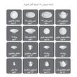 سرویس چینی وایت رز (زرین)