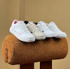 ونس پروانه ای