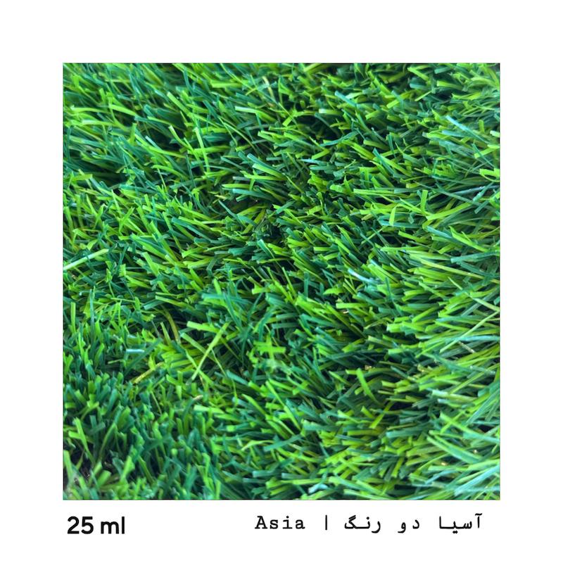 چمن آسیا دورنگ