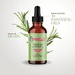 🌷 روغن تقویت کننده رزماری و نعنا میل حجم 59ml    MIELLE ROSEMARY MINT SCALP & HAIR STRENGTHENING OIL