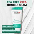 Bring Green : Tea Tree CICA Trouble Cleansing Foam ✨    🌱 فوم شستشوی تی تری سیکا برینگ گرین