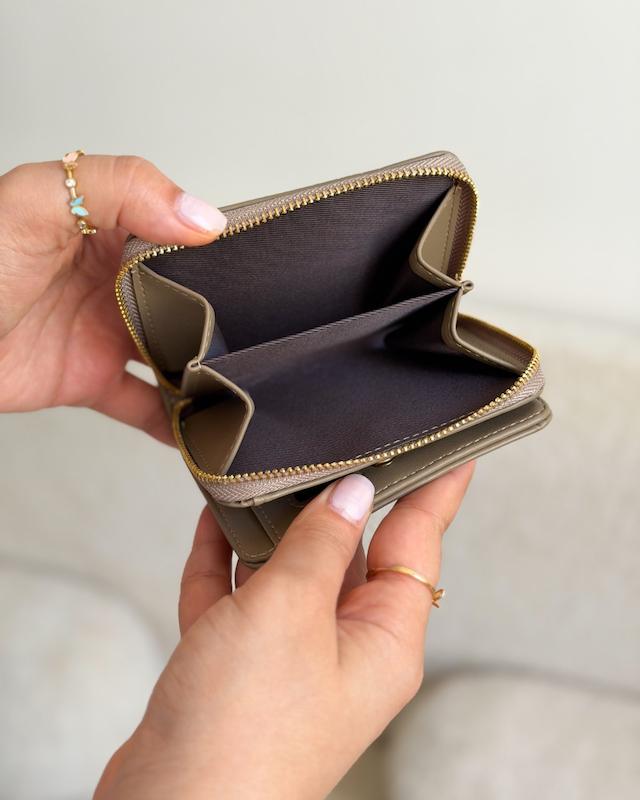 کیف پول وارداتی روژین