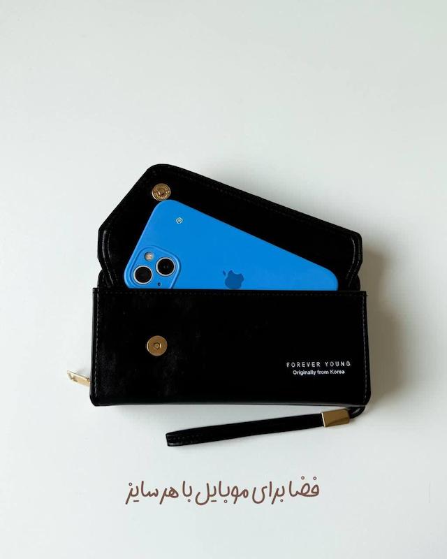 کیف دستی پانیذ