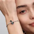 عکس چارم خرگوش خوش شانس 