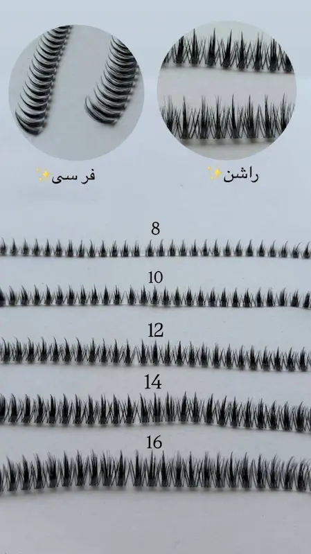 مژه ریسه ای راشن 