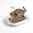 اسباب‌بازی و اسکرچر گربه ای‌اف‌پی مدل پیست توپ (AFP Cat Toy & Scratcher)